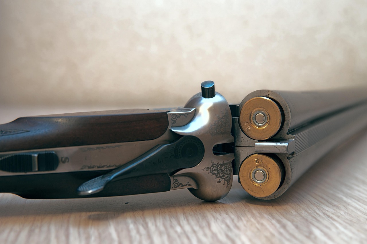 vintage gun, double-barrelled gun, old-fashioned gun, weapon, hand gun, vintage hand gun